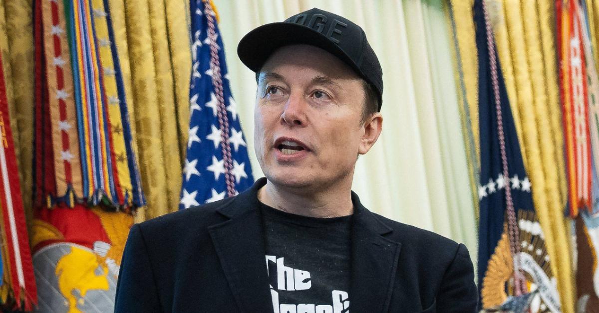 Image of Elon Musk claimed it 'can't be easy' for Sydney Sweeney to have large assets.