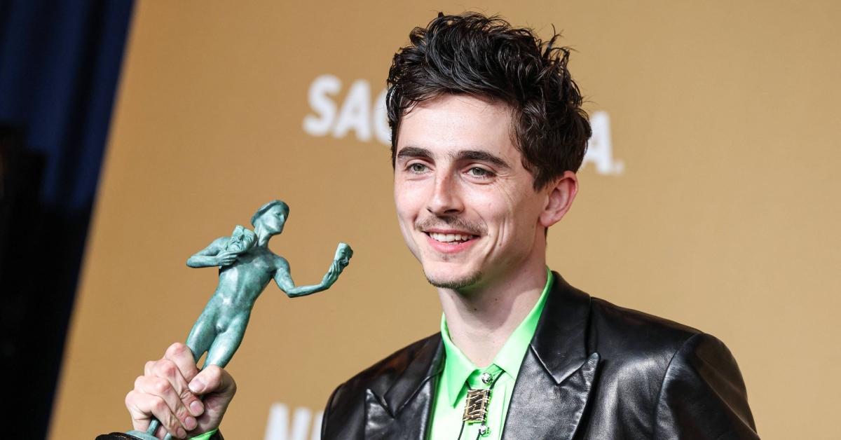 Photo of Timothée Chalamet.