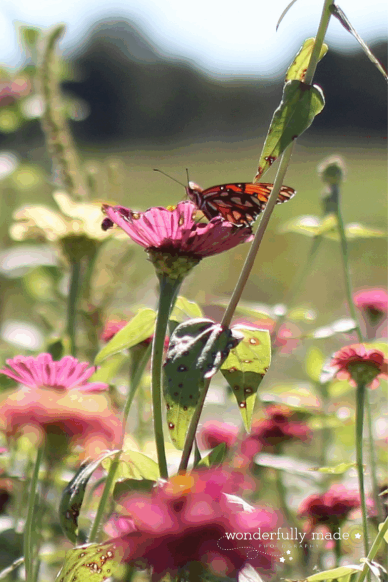 Caregiving – a lifelong journey